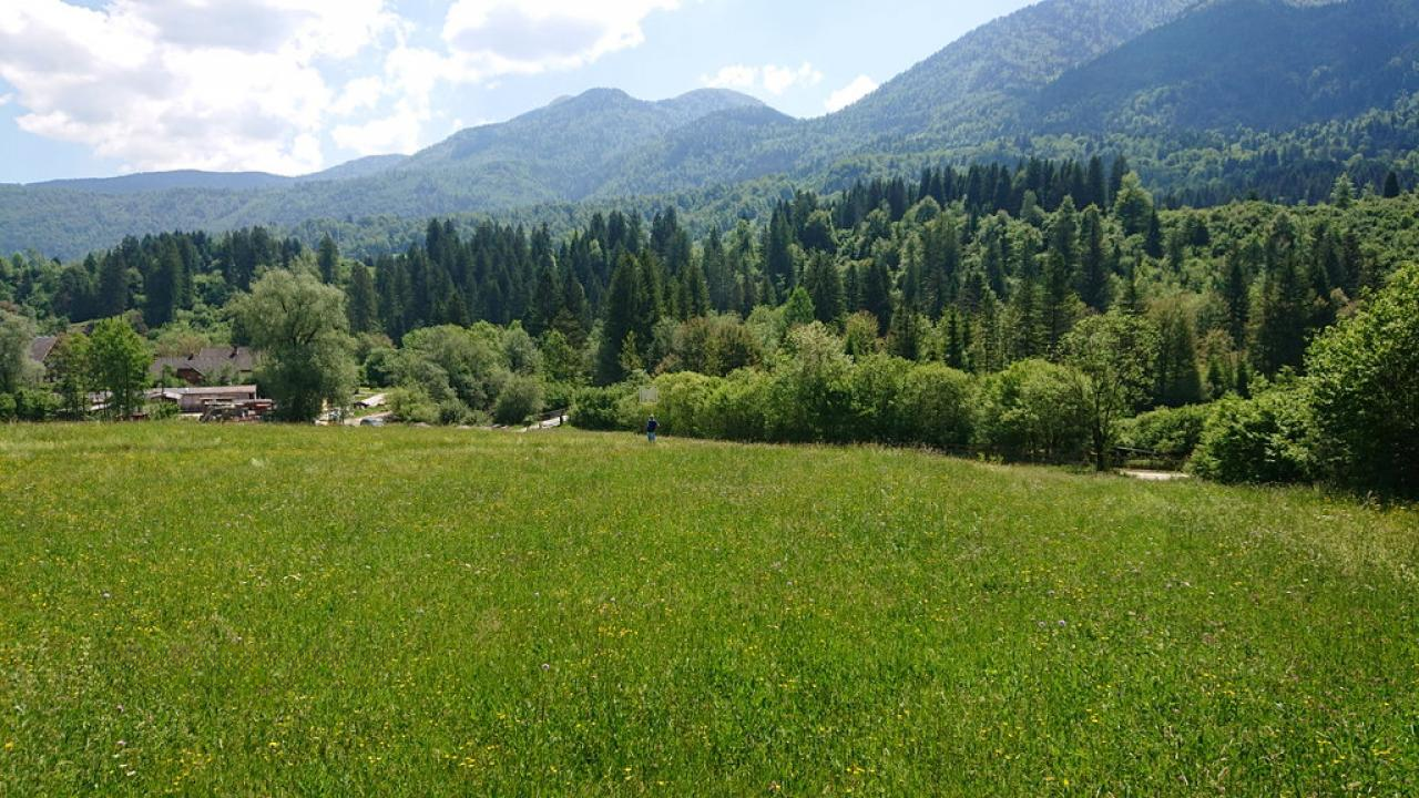Земля в Бохине, Словения, 8 876 м² - фото 11
