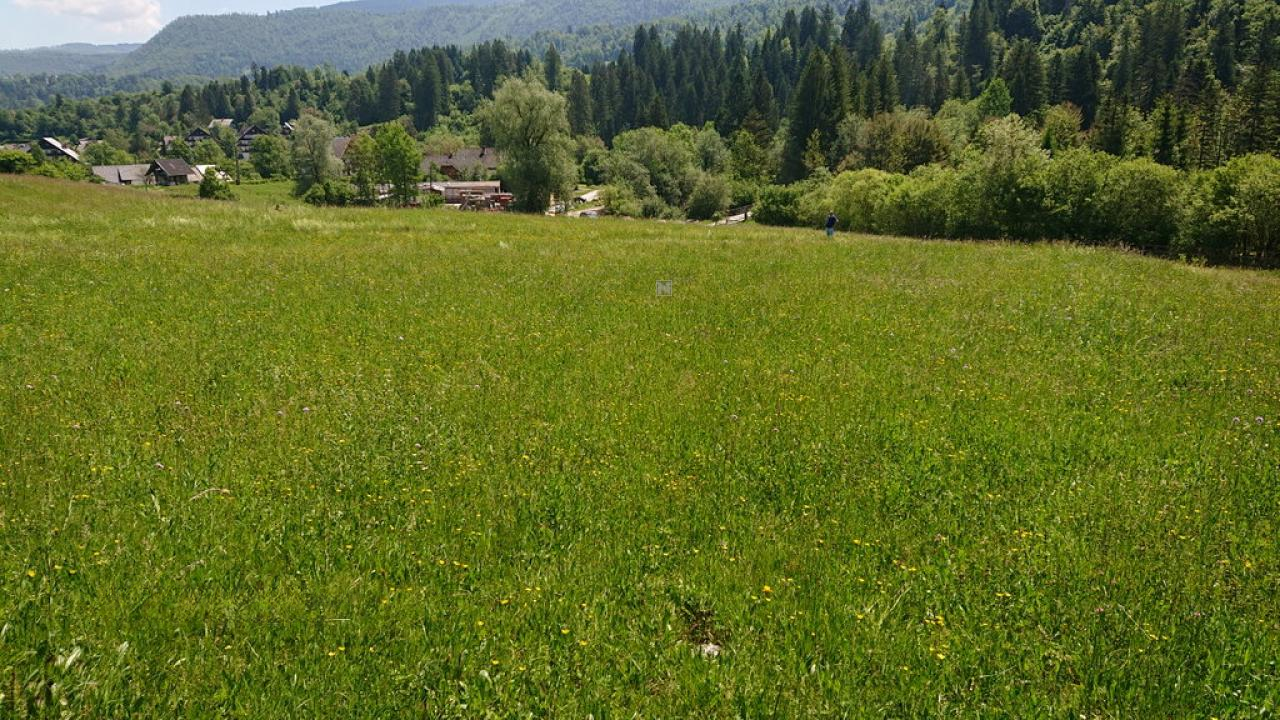 Земля в Бохине, Словения, 8 876 м² - фото 12