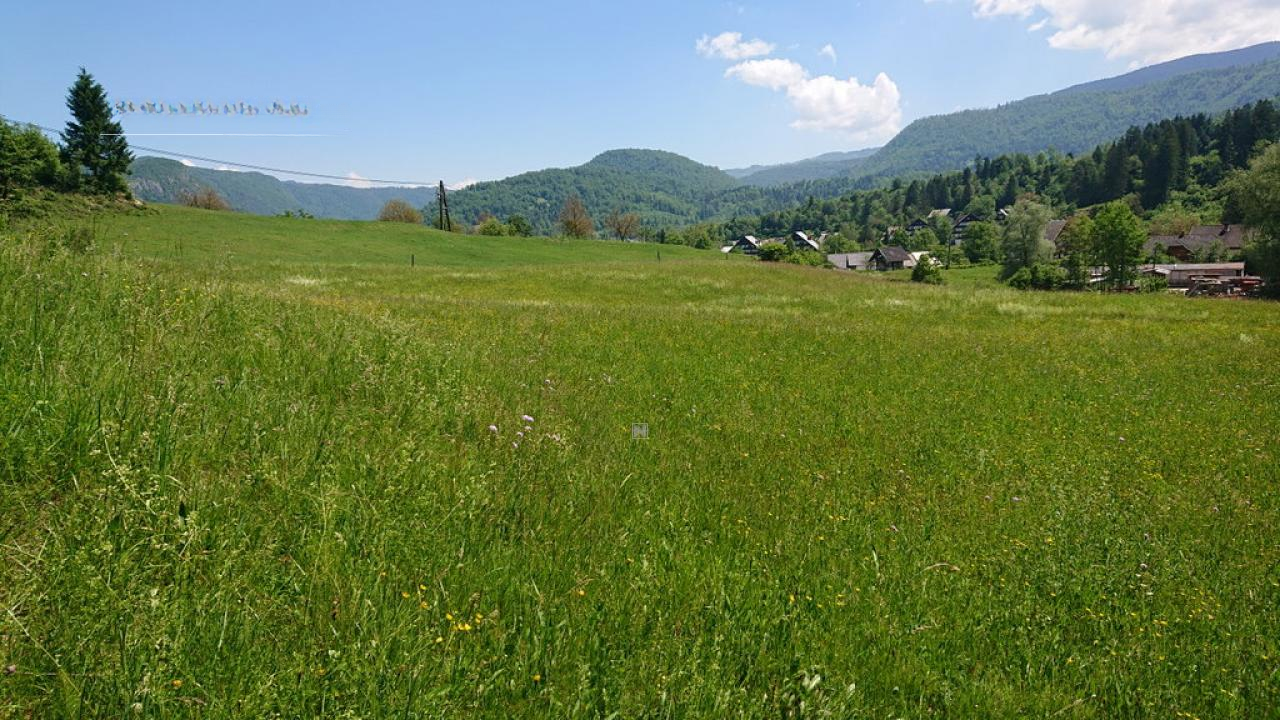 Земля в Бохине, Словения, 8 876 м² - фото 13