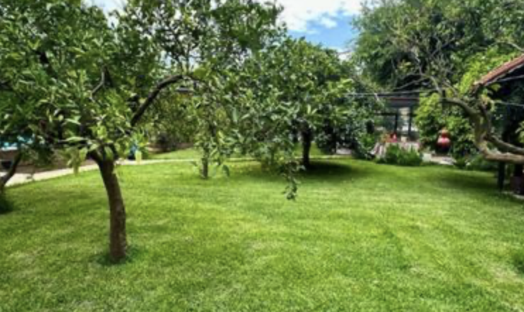 Отель, гостиница в Анталии, Турция, 5 400 м² - фото 12