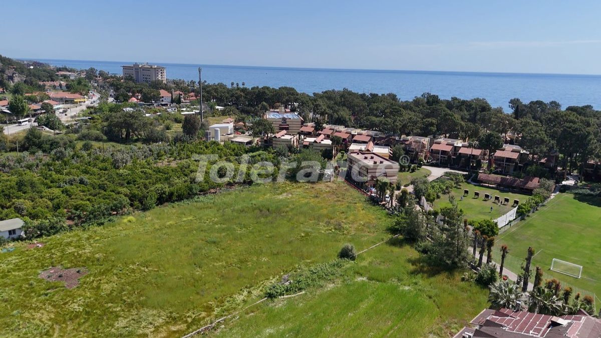 Отель, гостиница в Чамьюве, Турция, 4 000 м² - фото 2