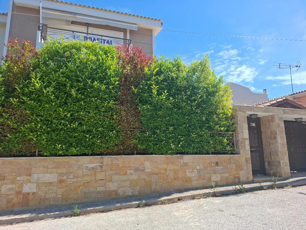 Дом в Афинах, Греция, 253 м² - фото 6
