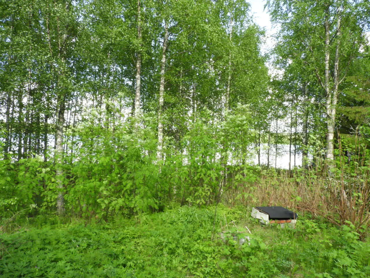 Коттедж в Нурмесе, Финляндия, 22 м² - фото 10