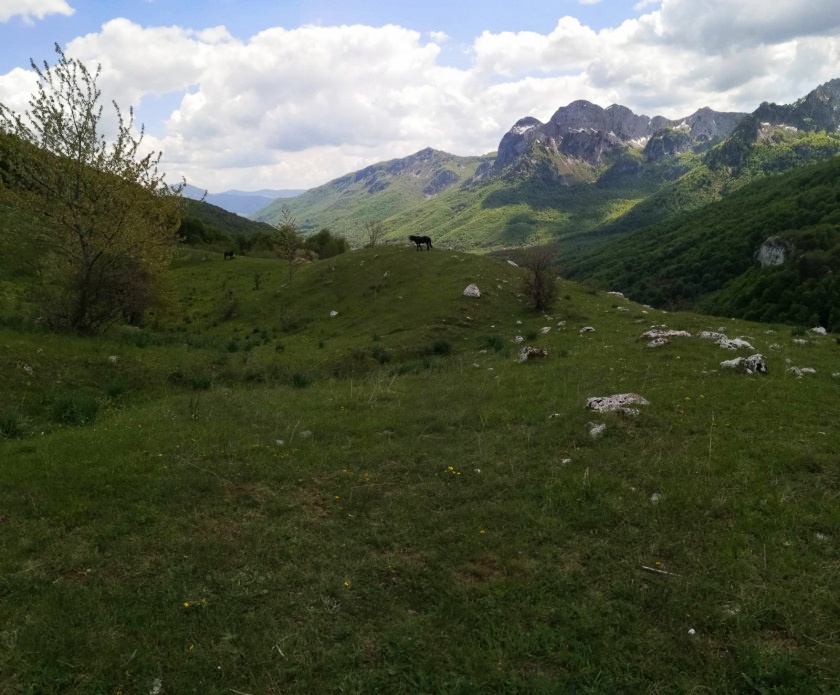 Земля в Колашине, Черногория, 3.2 Га - фото 2