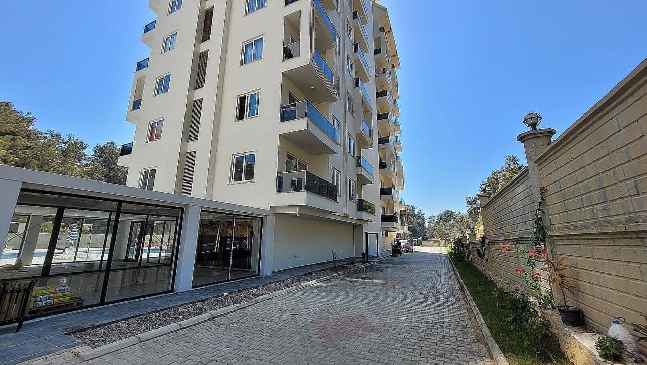 Апартаменты в Алании, Турция, 50 м² - фото 3