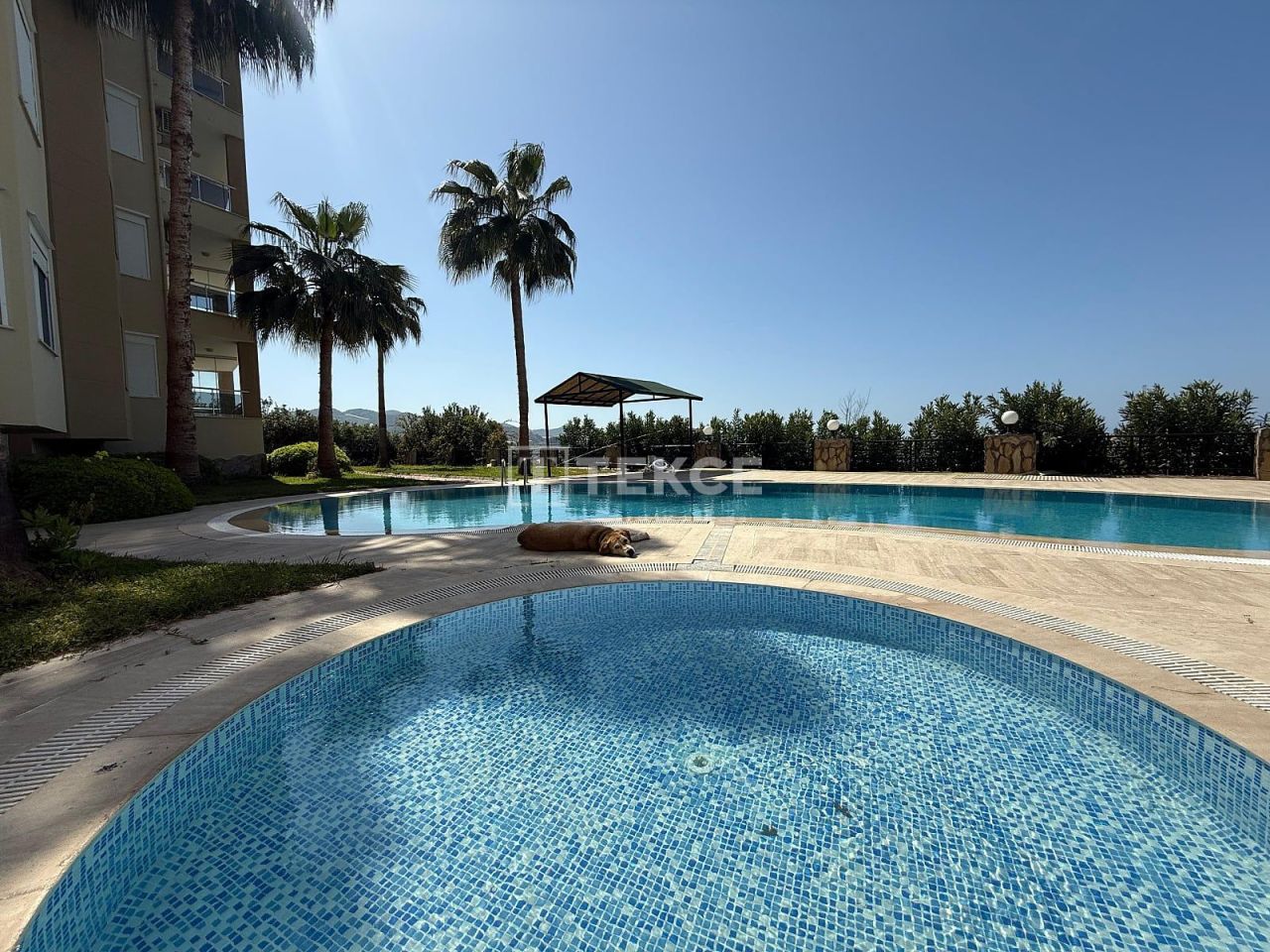 Пентхаус в Алании, Турция, 300 м² - фото 2
