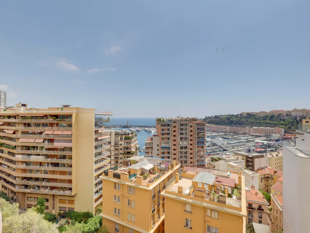 Квартира в Ла-Кондамине, Монако, 152 м² - фото 1