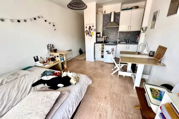 Квартира в Каннах, Франция, 20 м² - фото 2