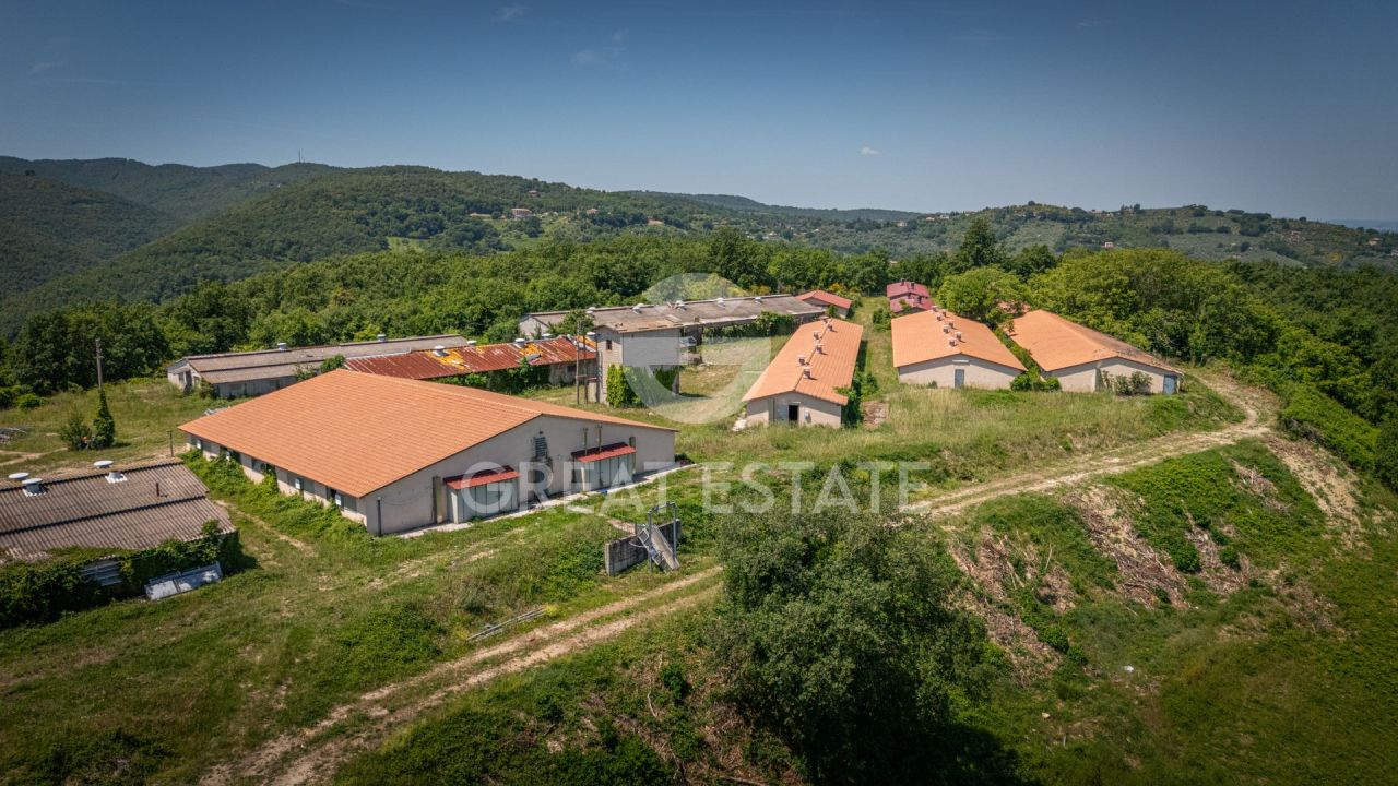 Дом в Каннаре, Италия, 1 981.2 м² - фото 9
