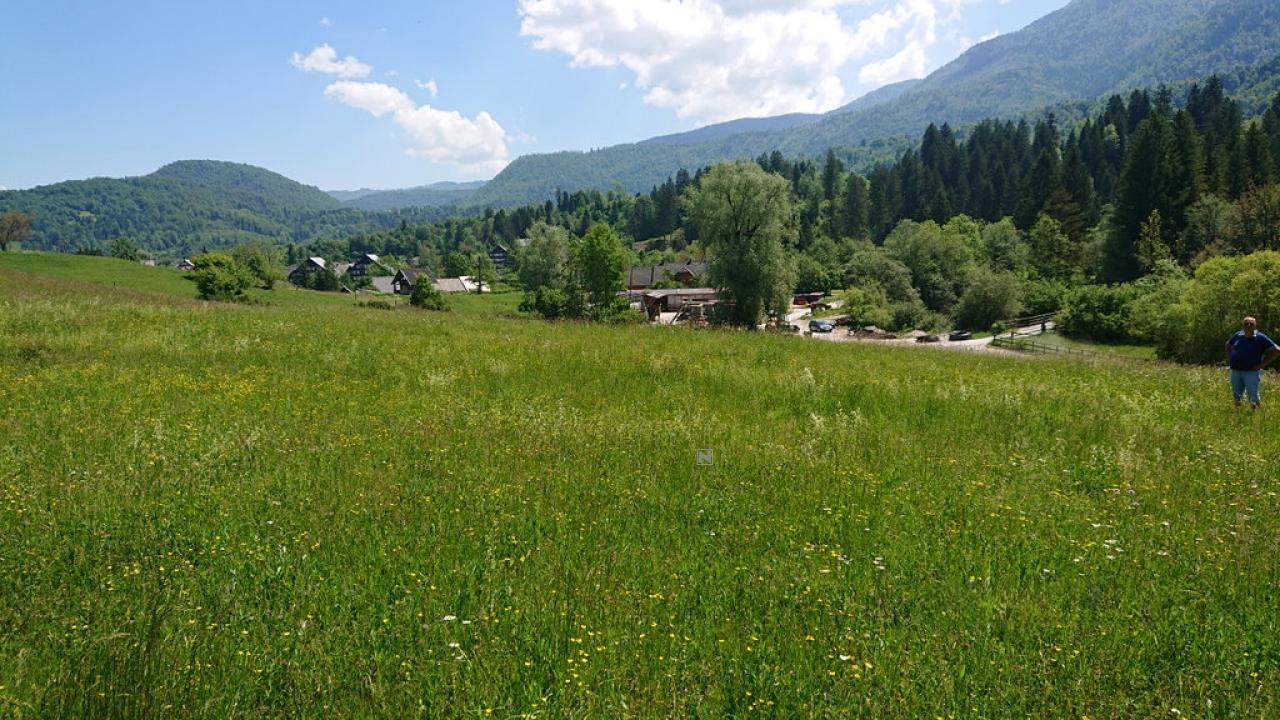 Земля в Бохине, Словения, 8 876 м² - фото 1