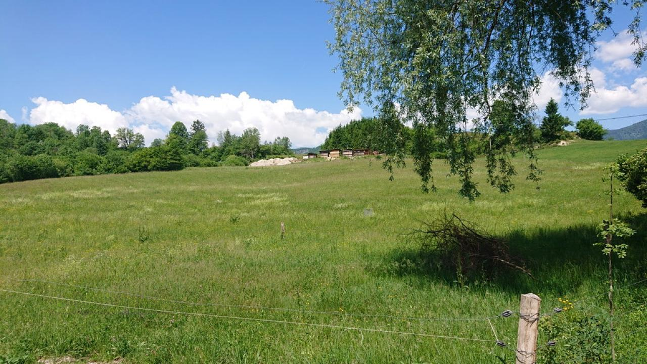Земля в Бохине, Словения, 8 876 м² - фото 3