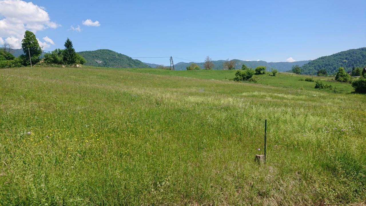 Земля в Бохине, Словения, 8 876 м² - фото 6