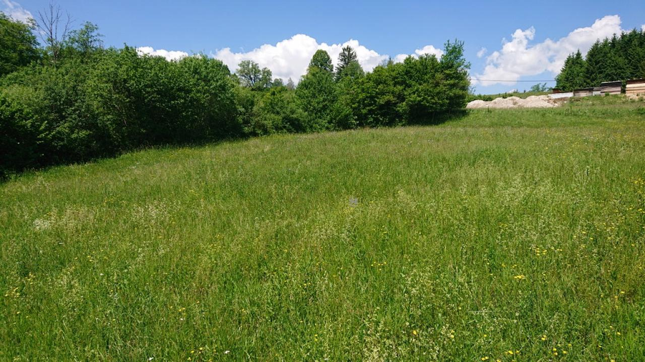 Земля в Бохине, Словения, 8 876 м² - фото 8