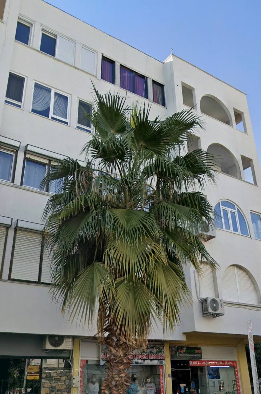 Квартира в Алании, Турция, 135 м² - фото 1