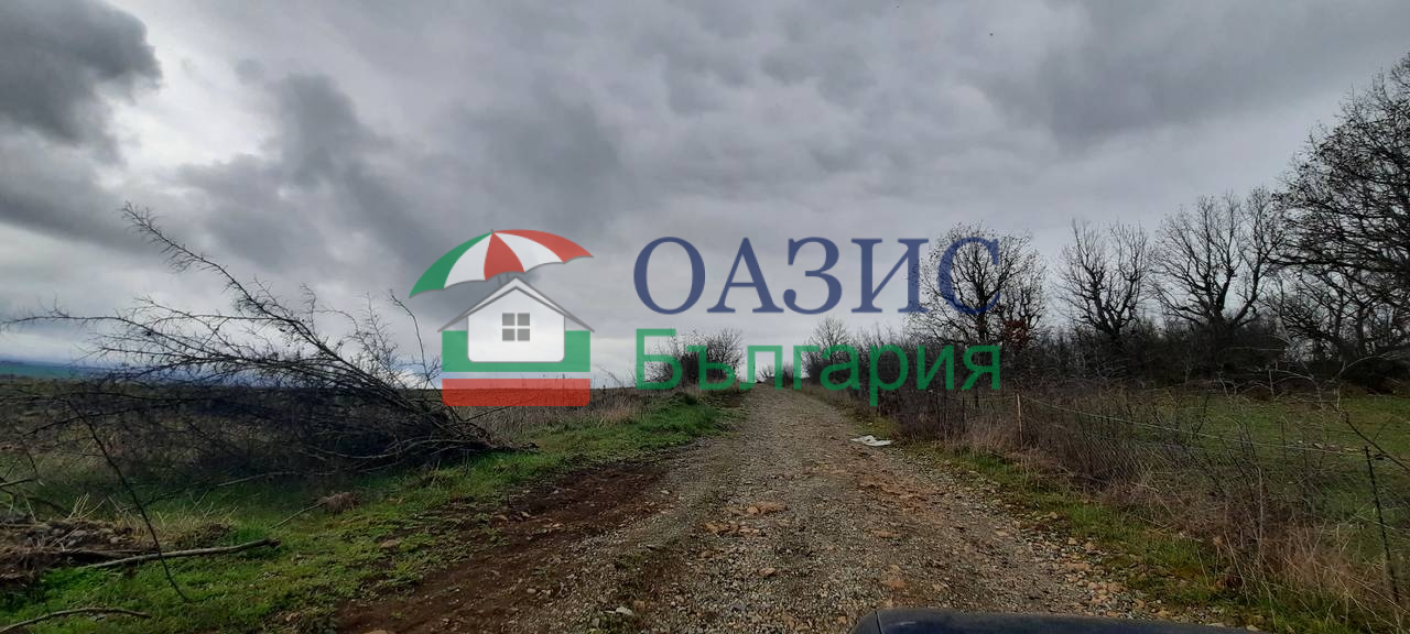 Коммерческая недвижимость в Димчево, Болгария, 9 572 м² - фото 2