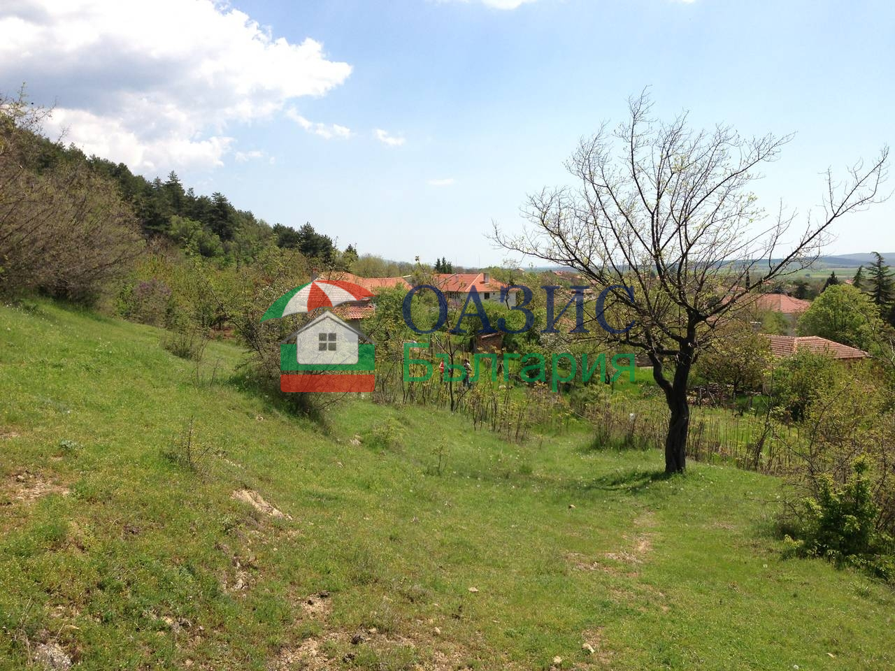 Коммерческая недвижимость в Горице, Болгария, 1 000 м² - фото 2