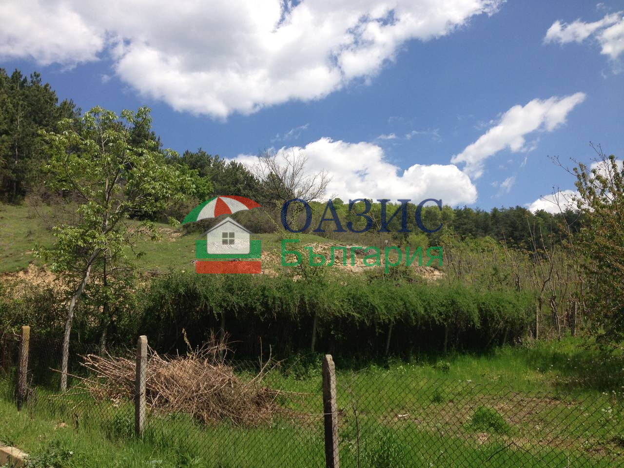 Коммерческая недвижимость в Горице, Болгария, 1 000 м² - фото 4