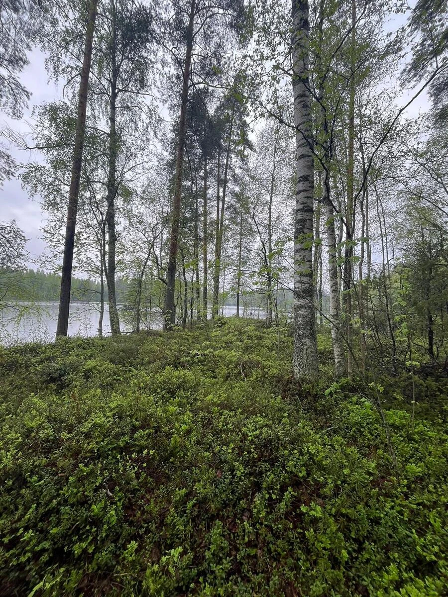 Дом в Раутъярви, Финляндия, 40 м² - фото 1
