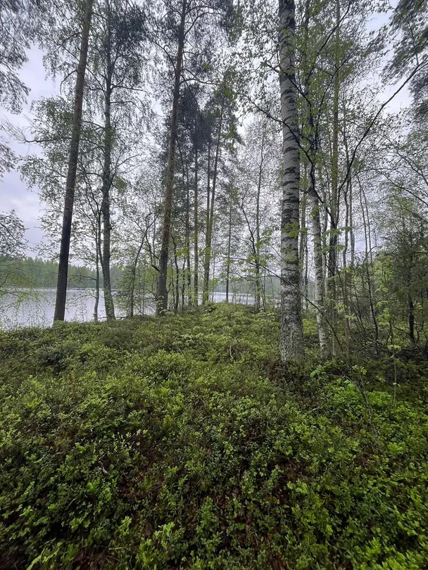 Земля в Раутъярви, Финляндия, 6 100 м² - фото 1