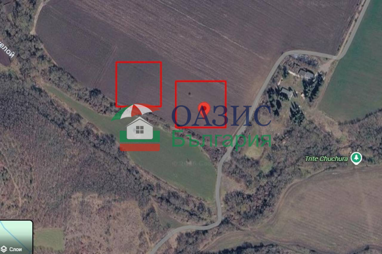 Коммерческая недвижимость в Бате, Болгария, 11 484 м² - фото 4