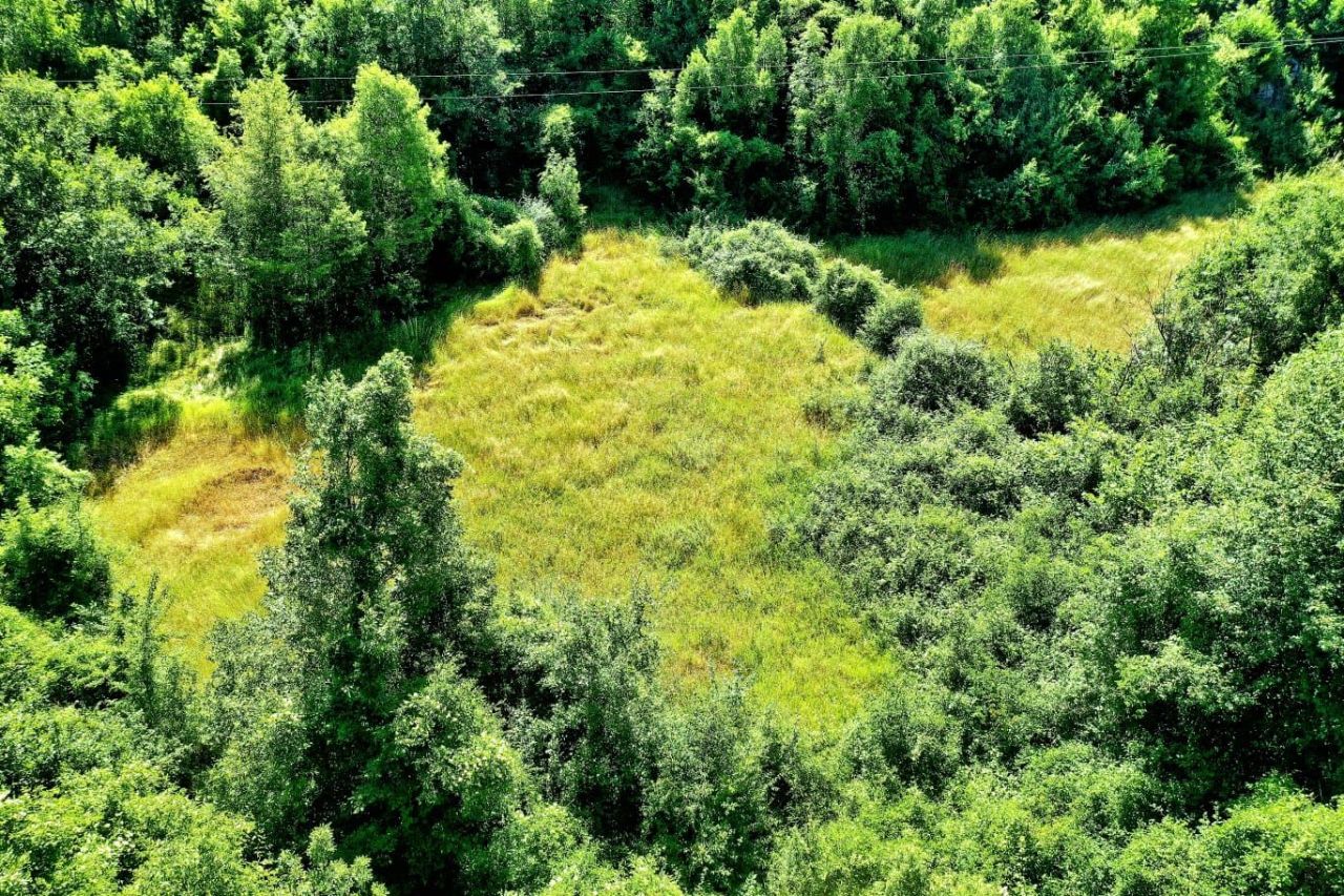 Земля в Никшиче, Черногория, 100 000 м² - фото 2