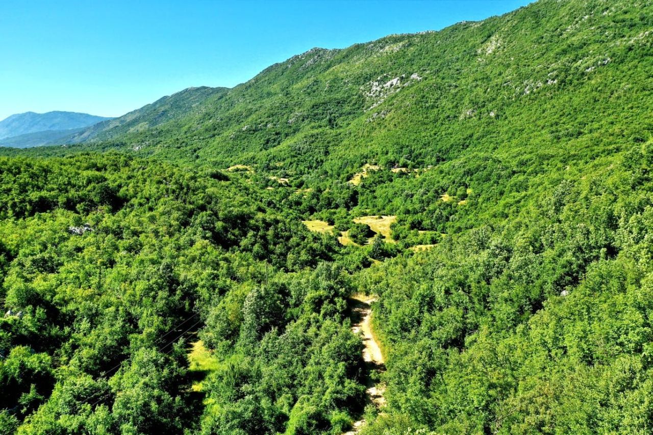 Земля в Никшиче, Черногория, 100 000 м² - фото 5