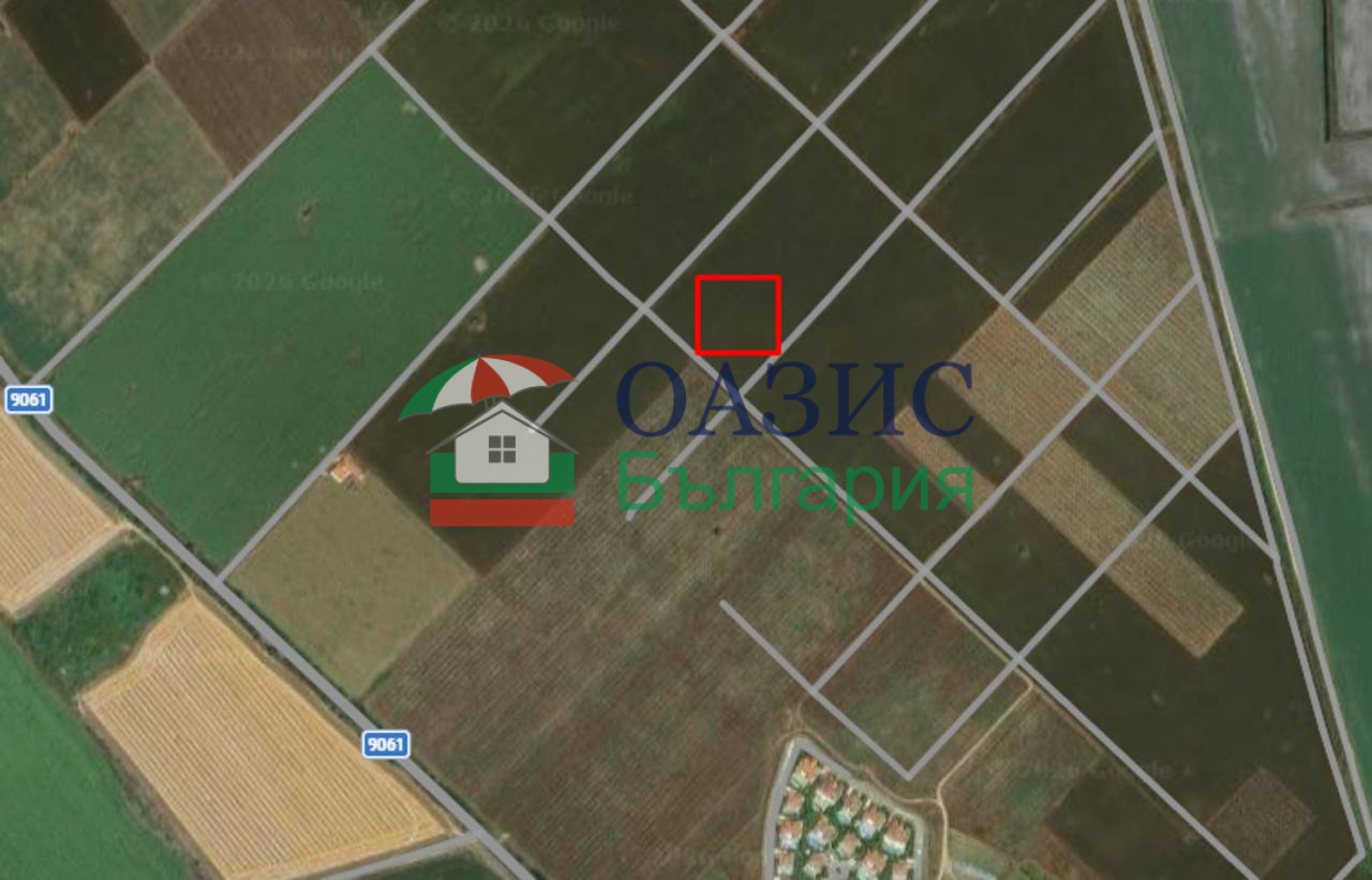Коммерческая недвижимость в Тынково, Болгария, 6 013 м² - фото 2