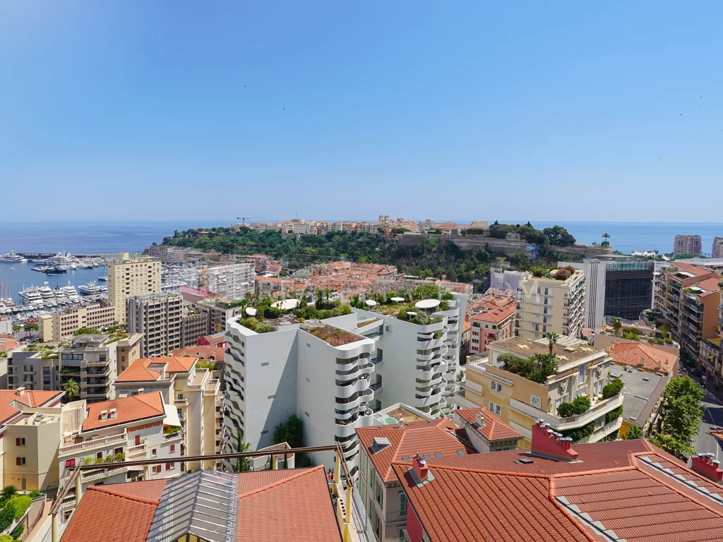 Квартира в Монегетти, Монако, 170 м² - фото 1