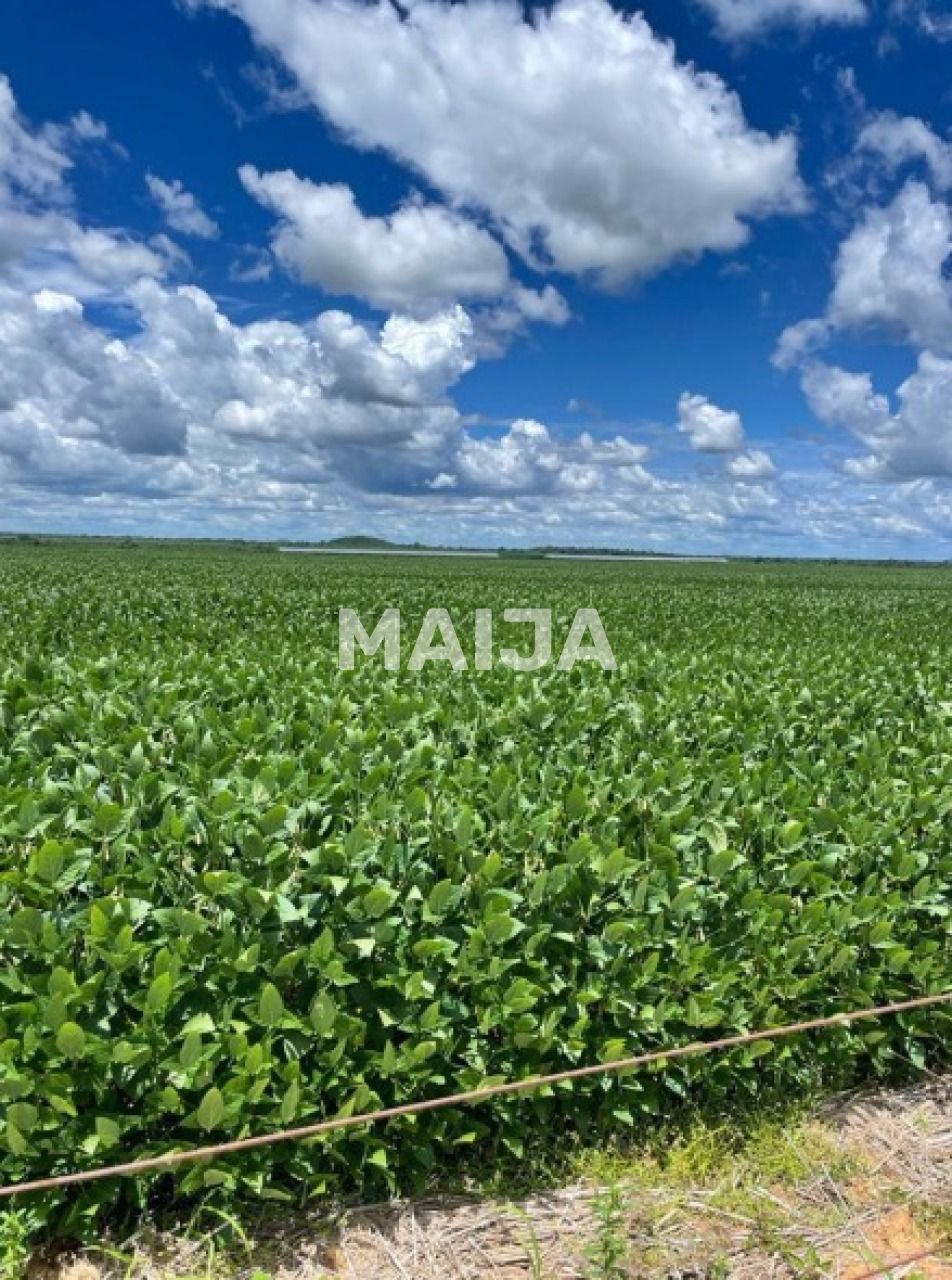 Земля Barra do Garças, Бразилия, 78 020 000 м² - фото 1