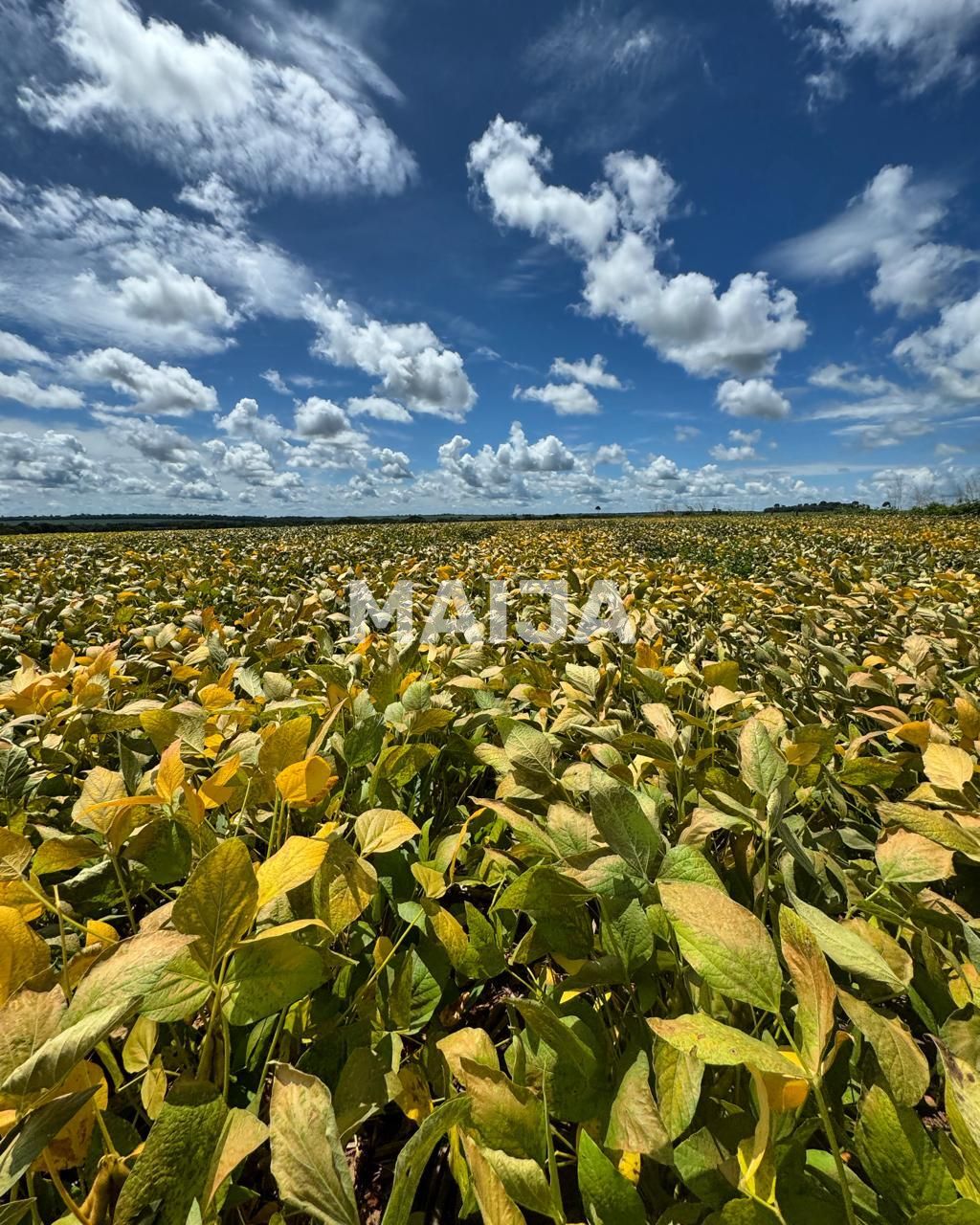 Земля Barra do Garças, Бразилия, 78 020 000 м² - фото 2