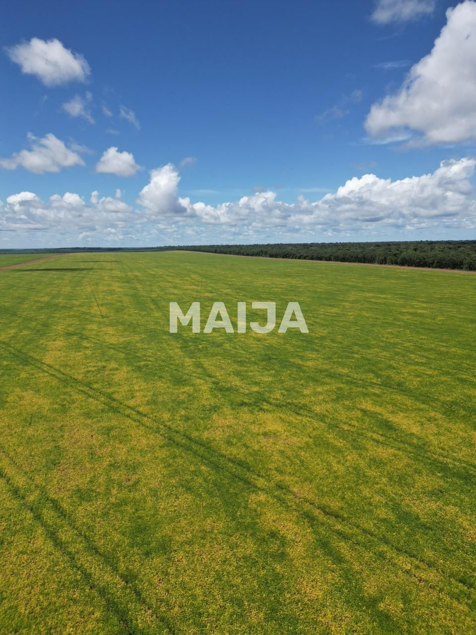 Земля Barra do Garças, Бразилия, 78 020 000 м² - фото 4