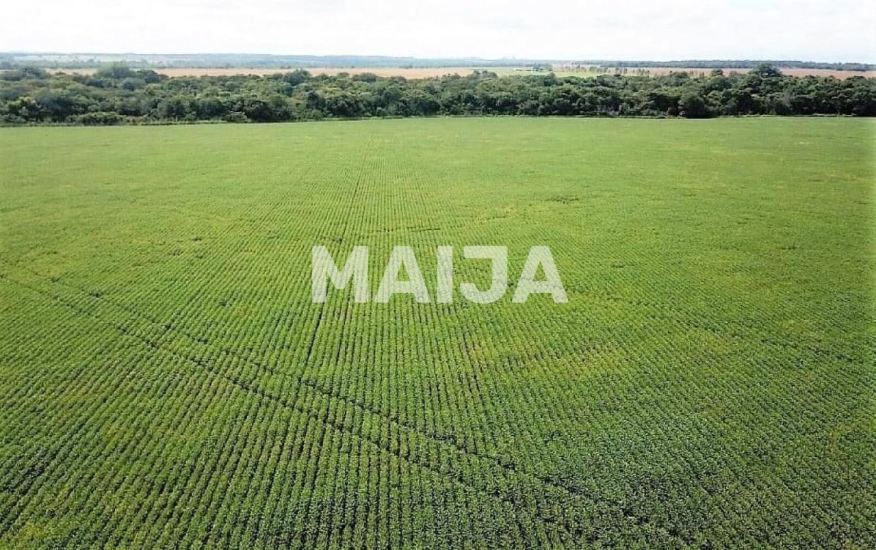 Земля Formosa, Бразилия, 40 170 000 м² - фото 9