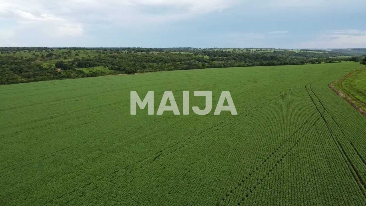 Земля Formosa, Бразилия, 40 170 000 м² - фото 10