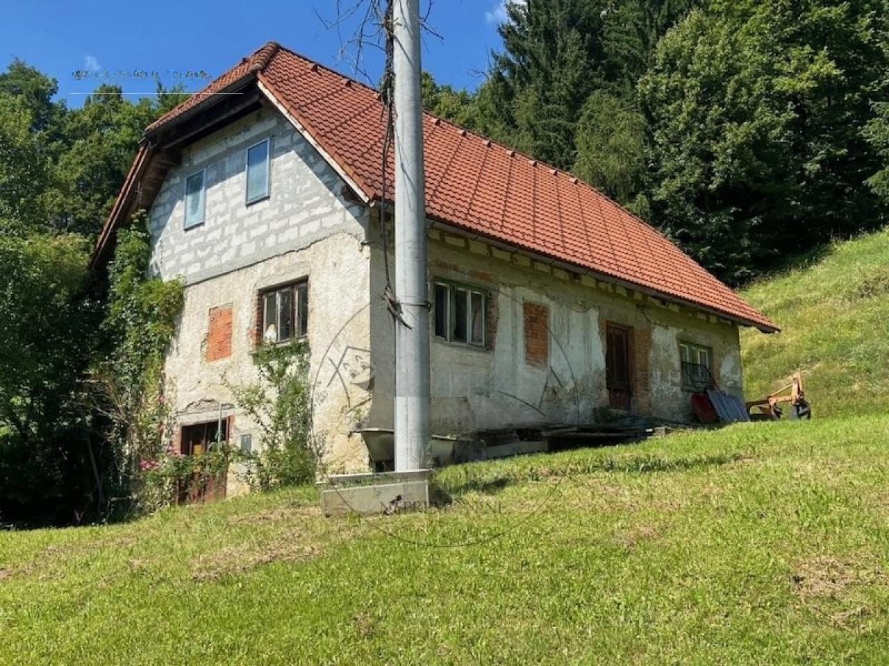 Ферма в Лашко, Словения, 240 м² - фото 4