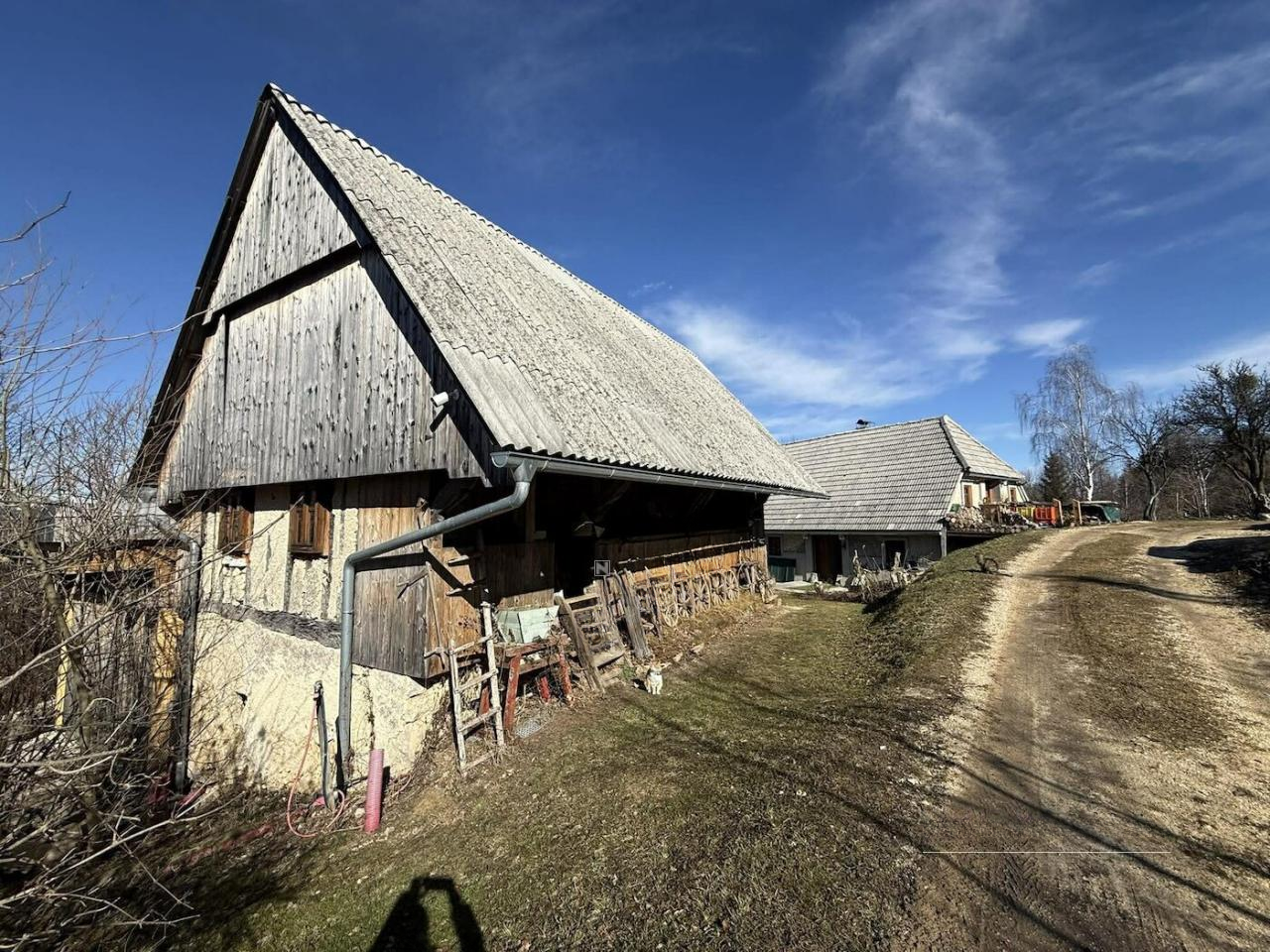 Ферма в Лашко, Словения, 482 м² - фото 6