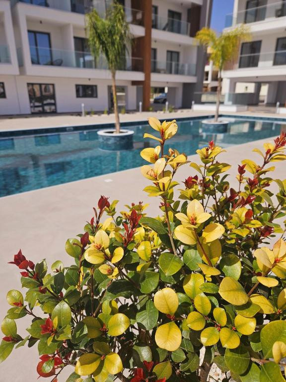 Апартаменты в Юниверсале, Кипр, 42 м² - фото 4