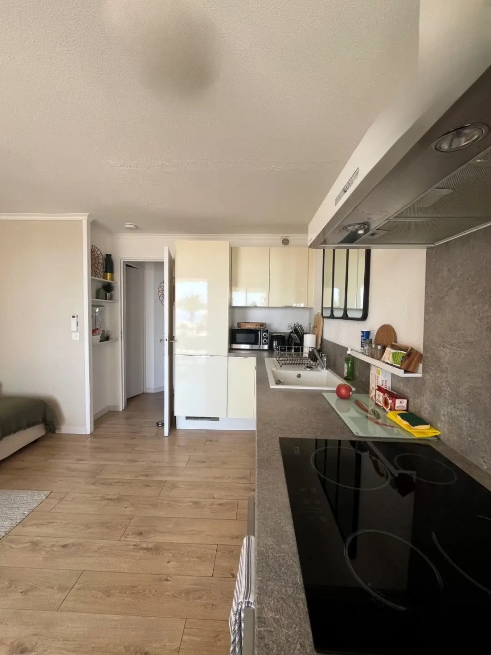 Квартира в Каннах, Франция, 35 м² - фото 9