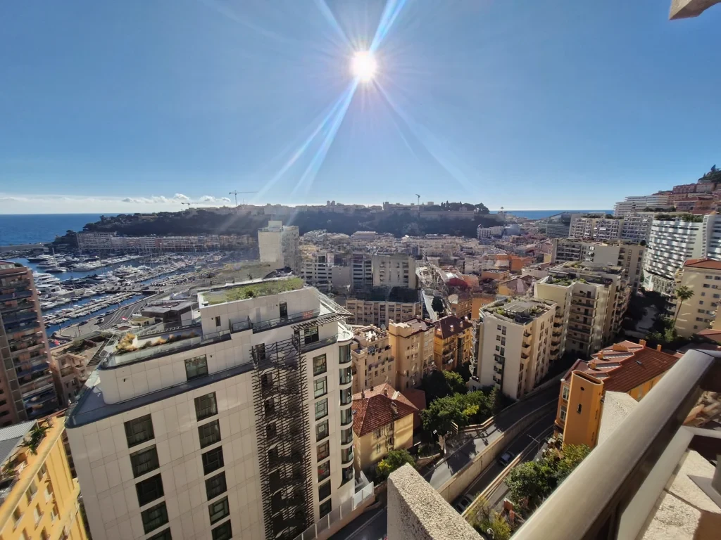 Квартира в Ла-Кондамине, Монако, 76 м² - фото 4