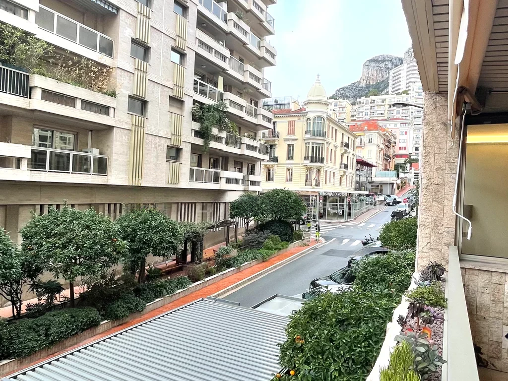 Квартира в Ла-Кондамине, Монако, 114 м² - фото 12