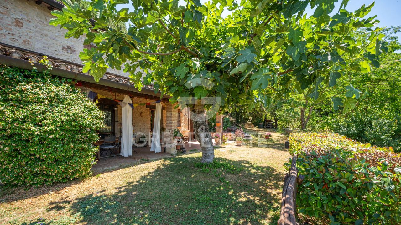 Дом в Тоди, Италия, 373.95 м² - фото 7