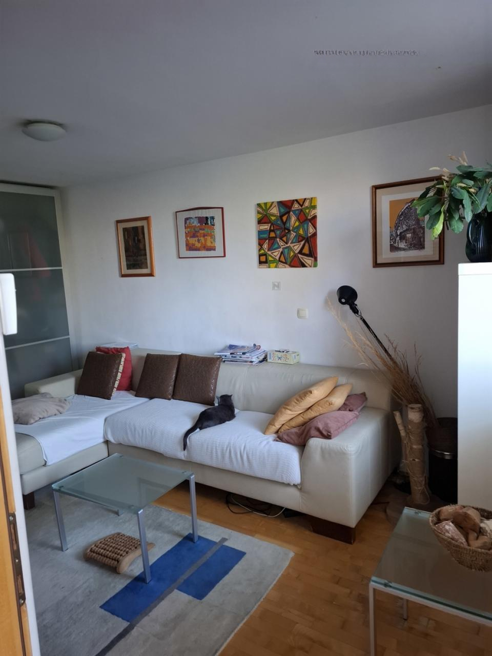 Квартира в Любляне, Словения, 55 м² - фото 1
