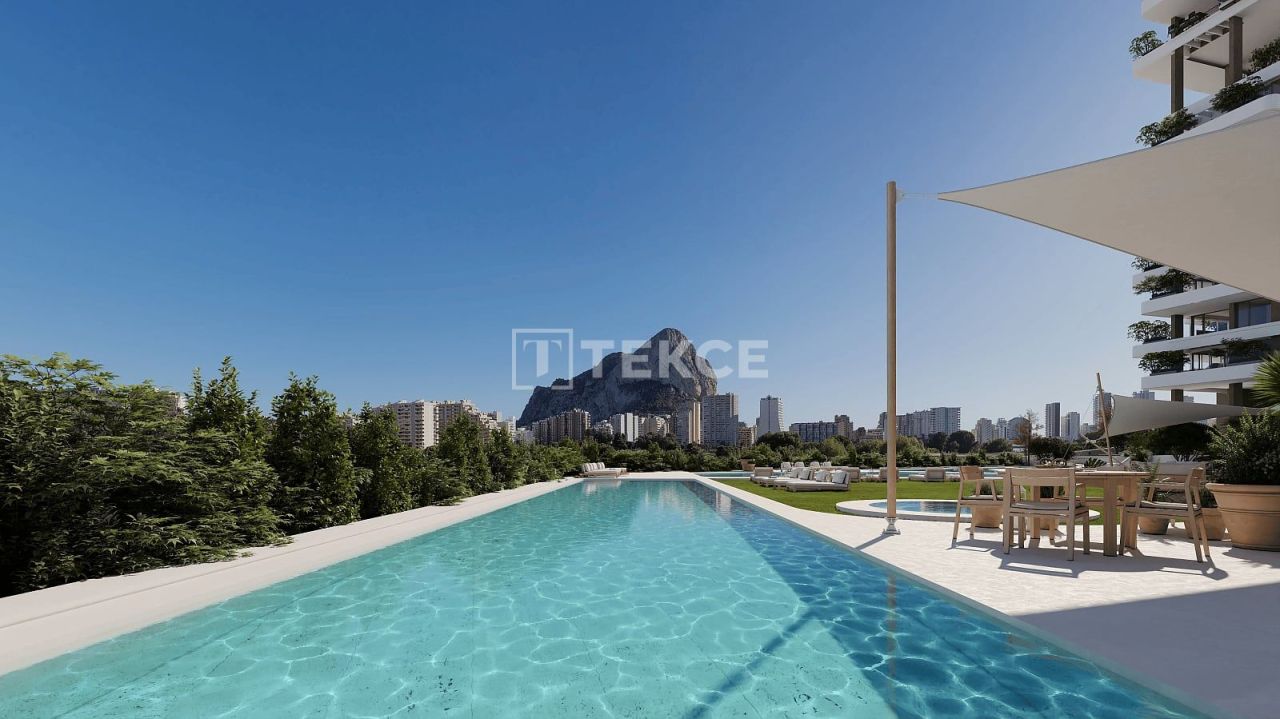 Апартаменты в Кальпе, Испания, 349 м² - фото 4
