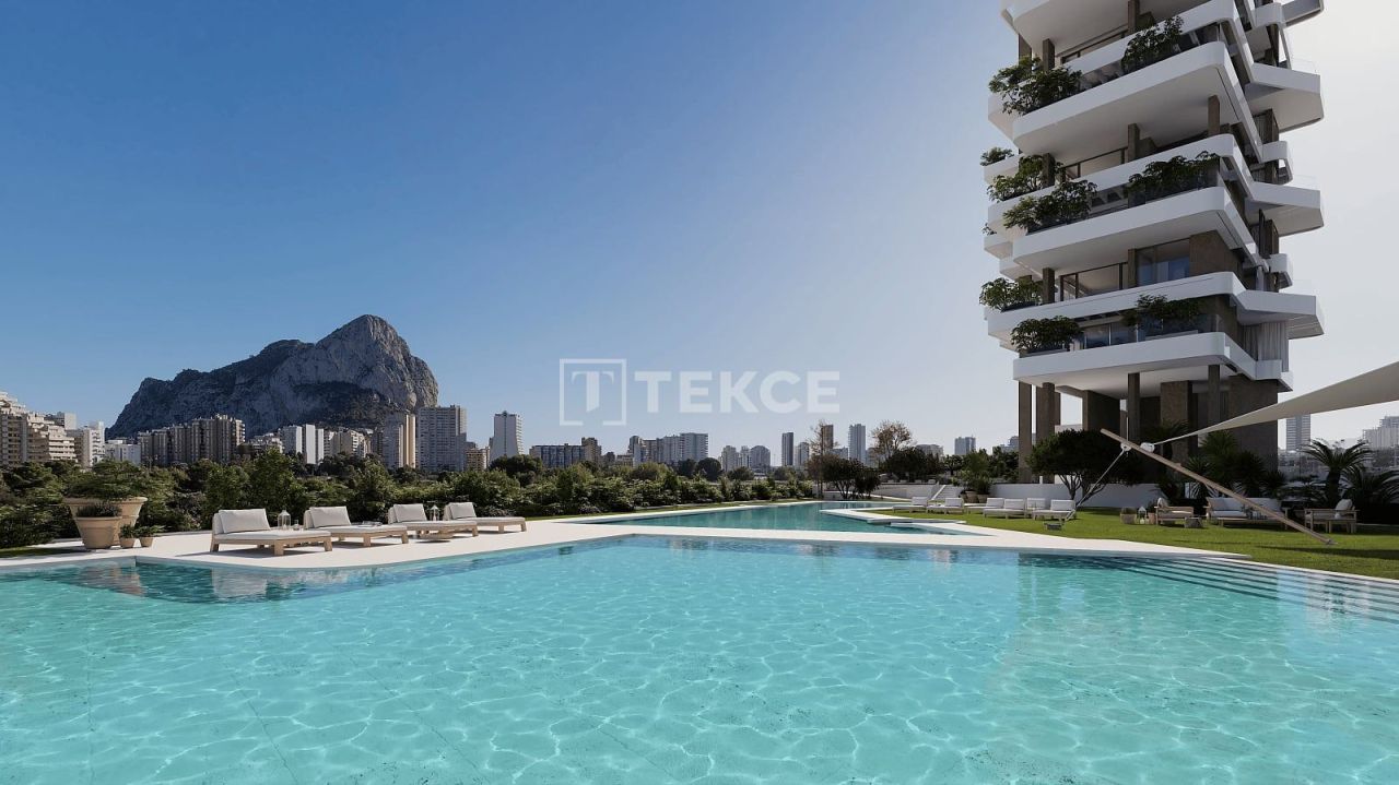 Апартаменты в Кальпе, Испания, 349 м² - фото 5