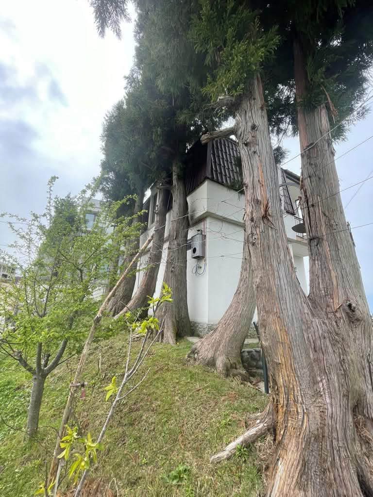 Дом в Батуми, Грузия, 90 м² - фото 11