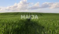 Земля за 6 300 000 евро в Латвии