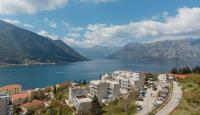 Квартира за 648 000 евро в Доброте, Черногория