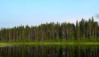 Земля за 165 000 евро в Рованиеми, Финляндия