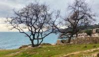 Земля за 3 090 000 евро в Баре, Черногория