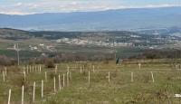 Земля за 101 314 евро в Тбилиси, Грузия