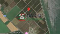 Коммерческая недвижимость за 284 085 евро в Тынково, Болгария